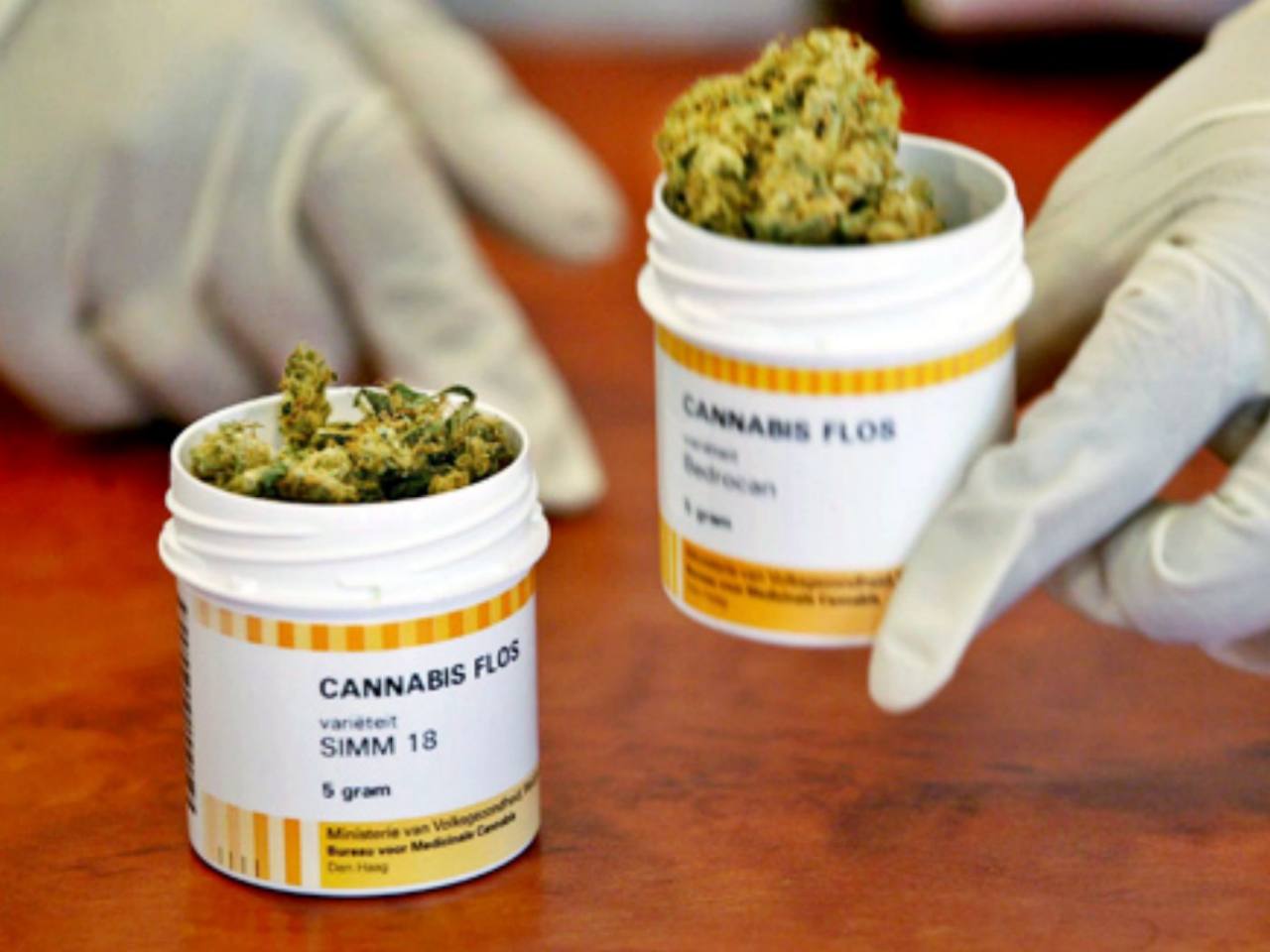 Reformas del COIP sobre cannabis medicinal