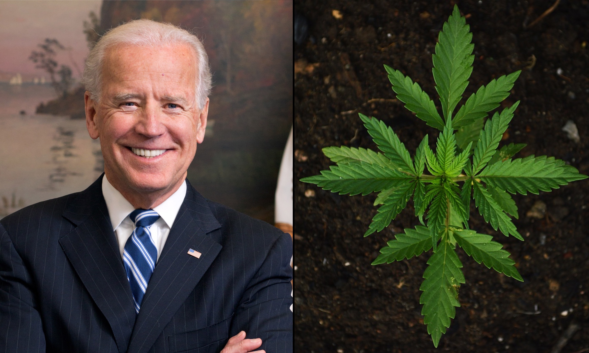 Biden Announces Mass Marijuana Pardons And Calls For Cannabis Scheduling Review - Asocolcanna